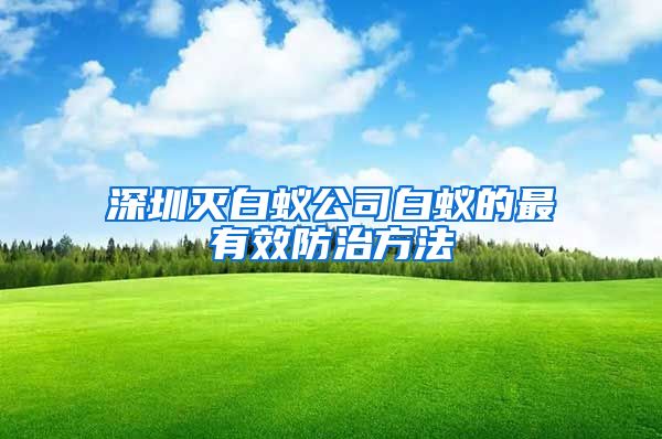 深圳灭白蚁公司白蚁的最有效防治方法