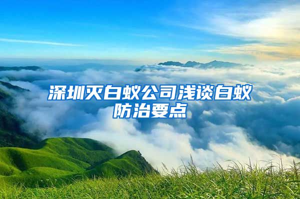 深圳灭白蚁公司浅谈白蚁防治要点
