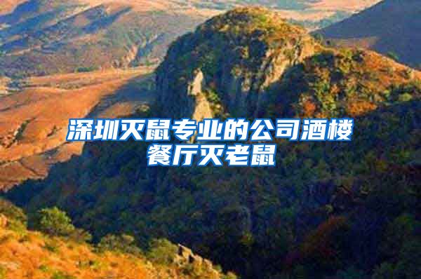 深圳灭鼠专业的公司酒楼餐厅灭老鼠