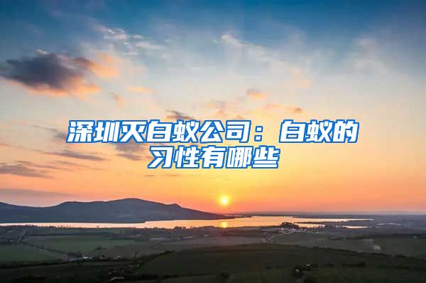 深圳灭白蚁公司：白蚁的习性有哪些