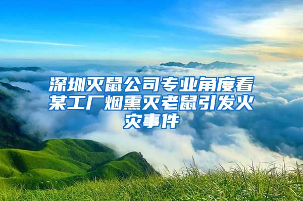 深圳灭鼠公司专业角度看某工厂烟熏灭老鼠引发火灾事件