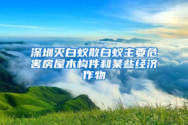 深圳灭白蚁散白蚁主要危害房屋木构件和某些经济作物