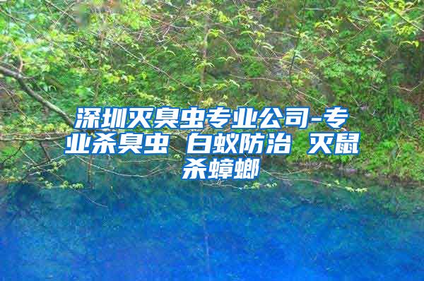 深圳灭臭虫专业公司-专业杀臭虫 白蚁防治 灭鼠 杀蟑螂