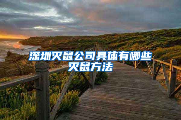 深圳灭鼠公司具体有哪些灭鼠方法