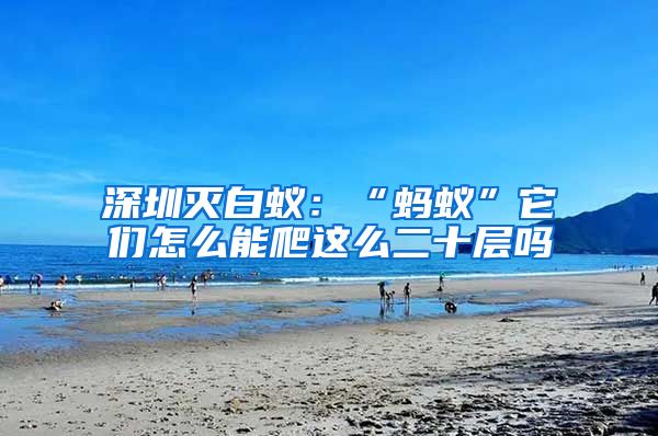 深圳灭白蚁：“蚂蚁”它们怎么能爬这么二十层吗