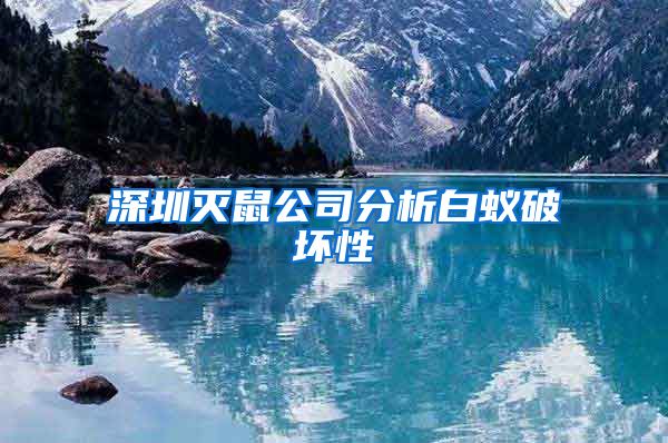 深圳灭鼠公司分析白蚁破坏性