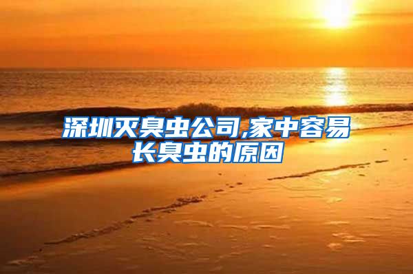 深圳灭臭虫公司,家中容易长臭虫的原因