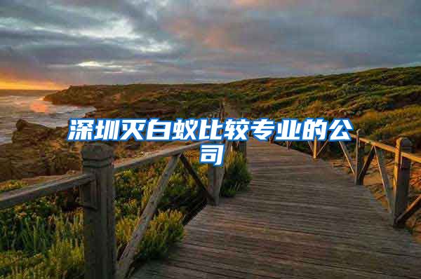深圳灭白蚁比较专业的公司