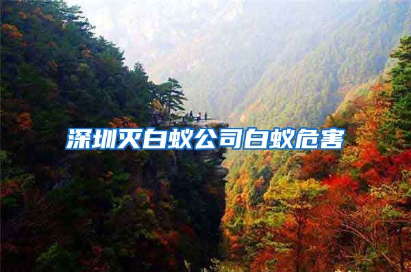 深圳灭白蚁公司白蚁危害