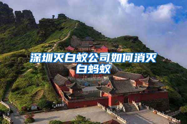 深圳灭白蚁公司如何消灭白蚂蚁