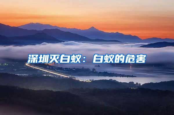 深圳灭白蚁：白蚁的危害