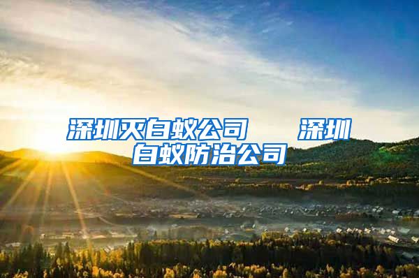 深圳灭白蚁公司   深圳白蚁防治公司