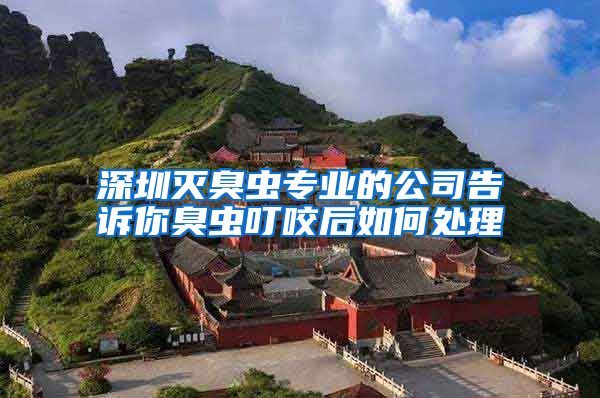 深圳灭臭虫专业的公司告诉你臭虫叮咬后如何处理