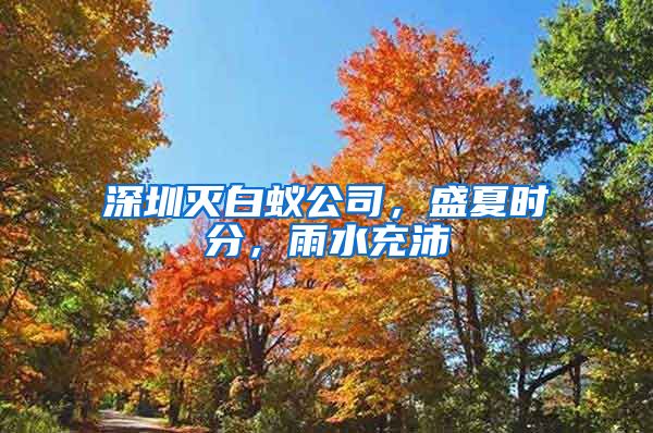 深圳灭白蚁公司，盛夏时分，雨水充沛