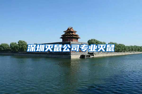 深圳灭鼠公司专业灭鼠