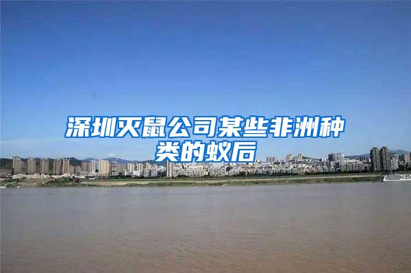 深圳灭鼠公司某些非洲种类的蚁后