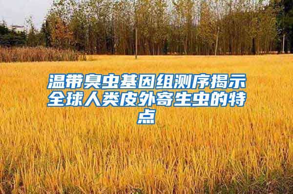 温带臭虫基因组测序揭示全球人类皮外寄生虫的特点