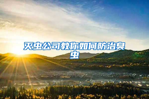 灭虫公司教你如何防治臭虫