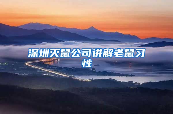 深圳灭鼠公司讲解老鼠习性