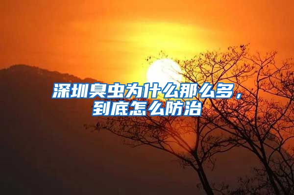 深圳臭虫为什么那么多，到底怎么防治
