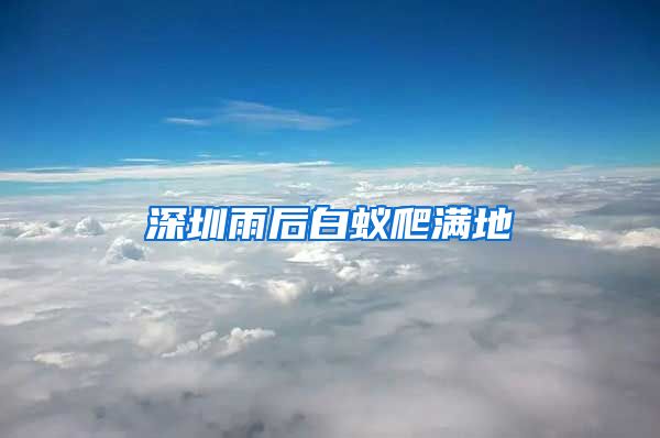 深圳雨后白蚁爬满地