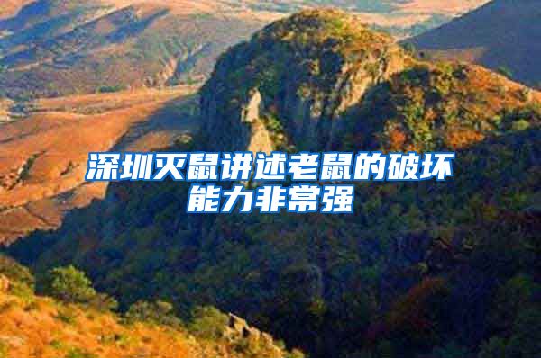 深圳灭鼠讲述老鼠的破坏能力非常强