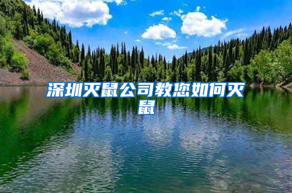 深圳灭鼠公司教您如何灭鼠
