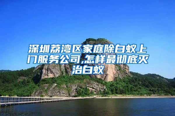 深圳荔湾区家庭除白蚁上门服务公司,怎样最彻底灭治白蚁