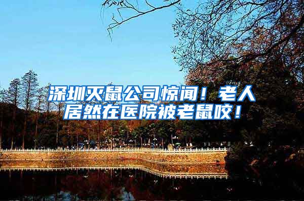 深圳灭鼠公司惊闻！老人居然在医院被老鼠咬！