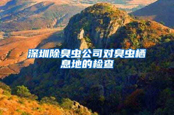 深圳除臭虫公司对臭虫栖息地的检查