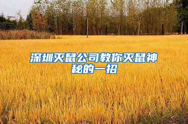 深圳灭鼠公司教你灭鼠神秘的一招