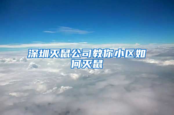 深圳灭鼠公司教你小区如何灭鼠