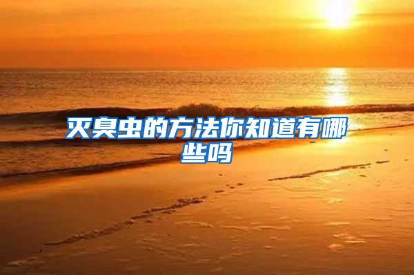 灭臭虫的方法你知道有哪些吗