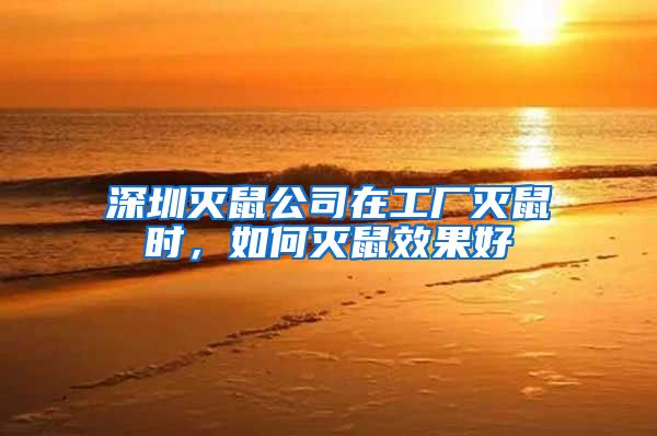 深圳灭鼠公司在工厂灭鼠时，如何灭鼠效果好