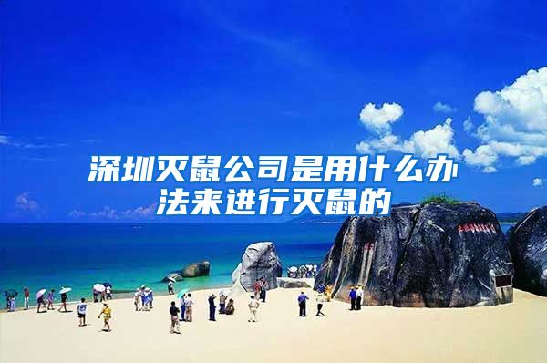 深圳灭鼠公司是用什么办法来进行灭鼠的