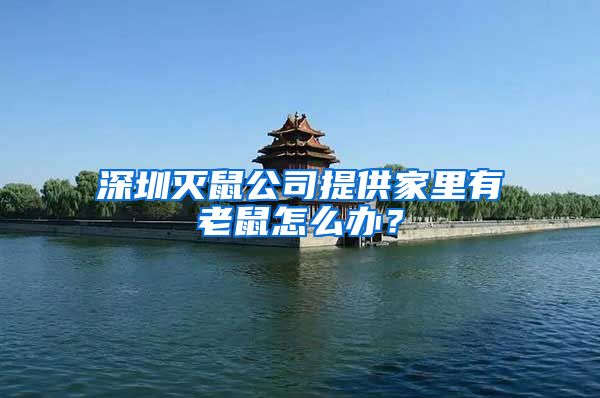 深圳灭鼠公司提供家里有老鼠怎么办？