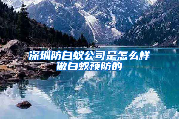 深圳防白蚁公司是怎么样做白蚁预防的