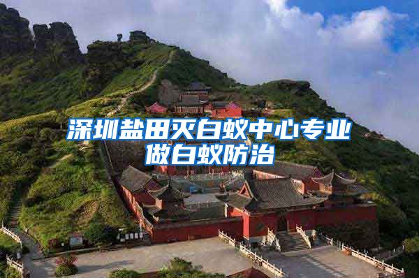 深圳盐田灭白蚁中心专业做白蚁防治