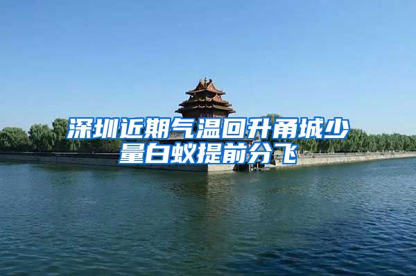 深圳近期气温回升甬城少量白蚁提前分飞