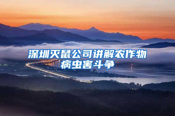 深圳灭鼠公司讲解农作物病虫害斗争