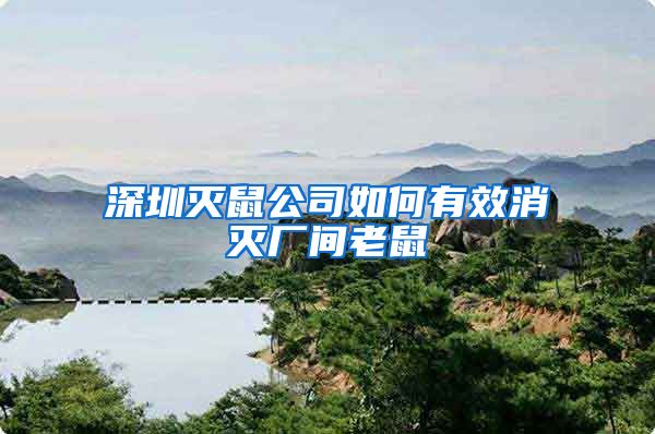 深圳灭鼠公司如何有效消灭厂间老鼠