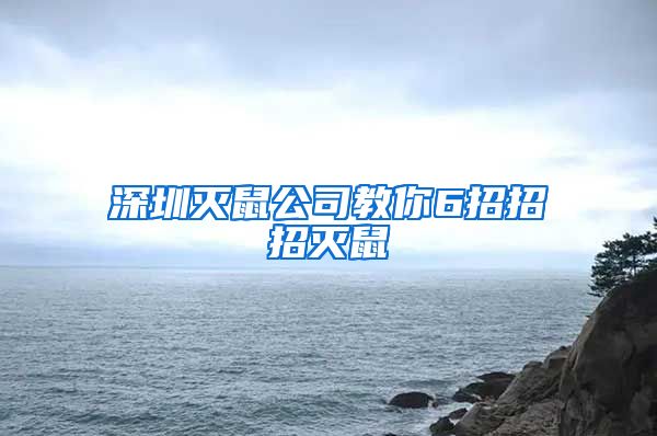 深圳灭鼠公司教你6招招招灭鼠