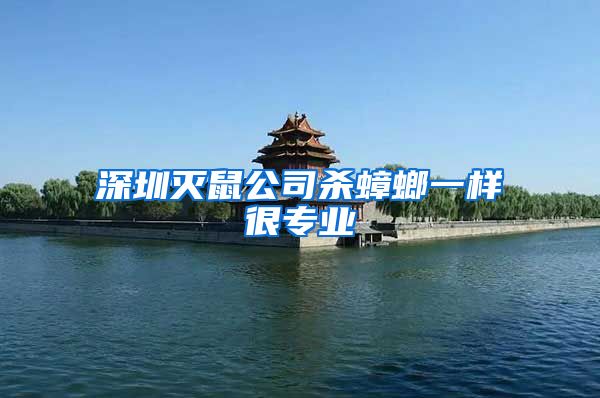 深圳灭鼠公司杀蟑螂一样很专业