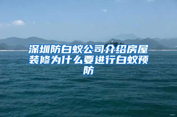 深圳防白蚁公司介绍房屋装修为什么要进行白蚁预防