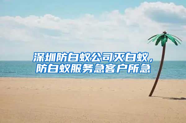 深圳防白蚁公司灭白蚁，防白蚁服务急客户所急
