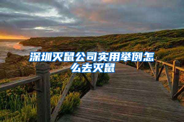 深圳灭鼠公司实用举例怎么去灭鼠