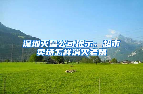 深圳灭鼠公司提示：超市卖场怎样消灭老鼠