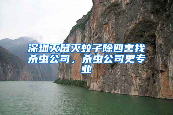 深圳灭鼠灭蚊子除四害找杀虫公司，杀虫公司更专业
