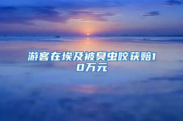 游客在埃及被臭虫咬获赔10万元