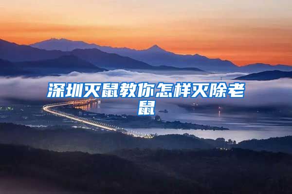 深圳灭鼠教你怎样灭除老鼠